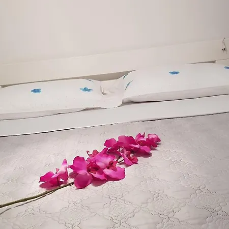 Ruzica Apartmán *
